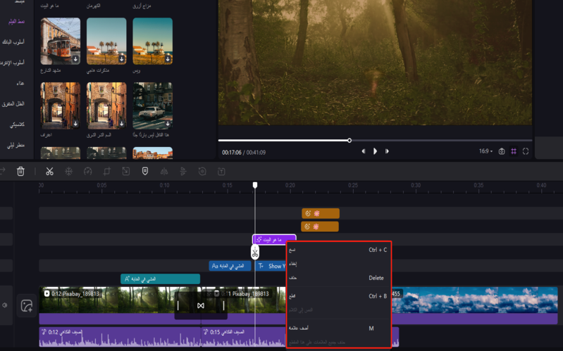 delete filters and effects