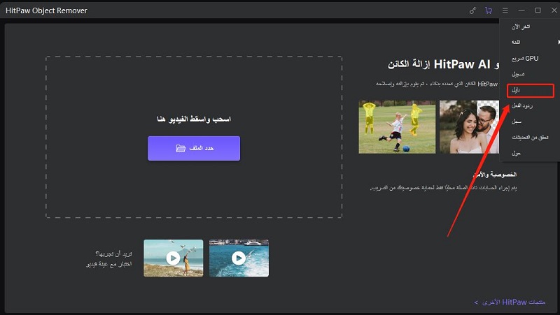 check guide in HitPaw video object remover