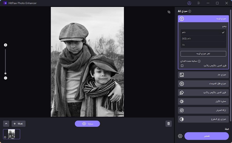 اختيار نموذج تلوين الصور بالذكاء الاصطناعي في برنامج HitPaw