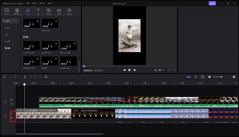 mute video