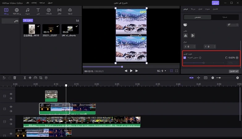 video stablization software