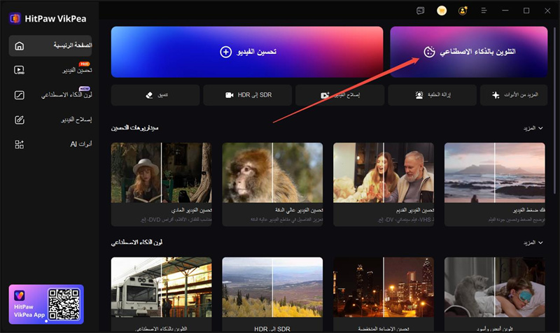 hitpaw vikpea ai colorist feature