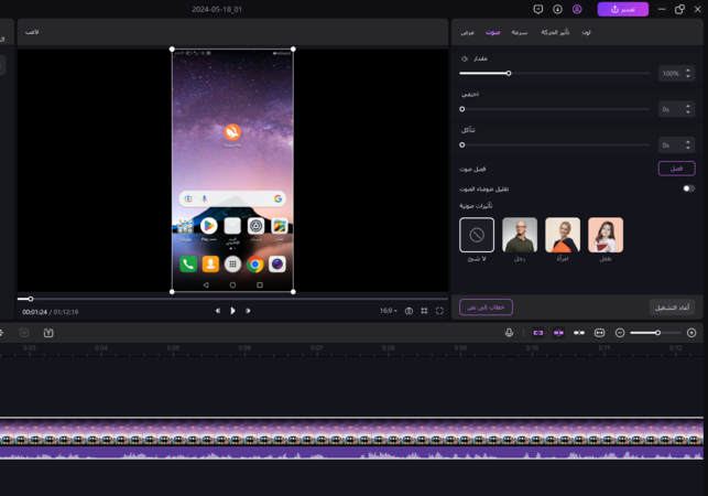 the-audio-option