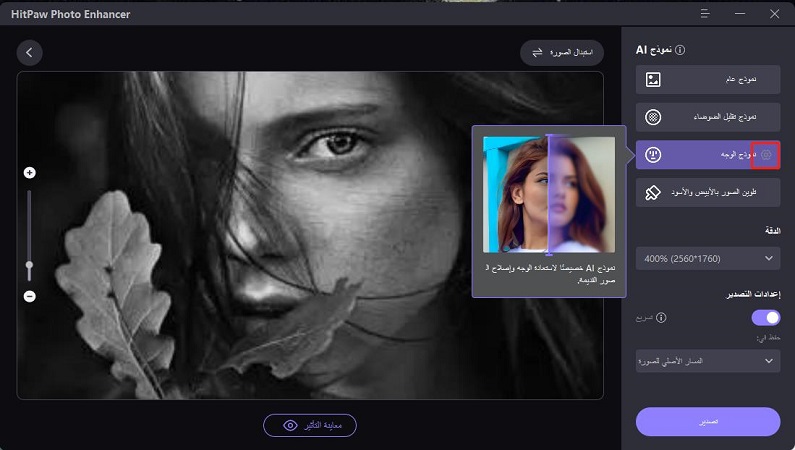 use hitpaw photo enhancer to turn black and white photo to color