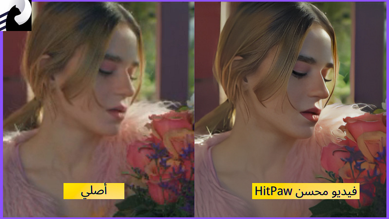 HitPaw Video Enhancer